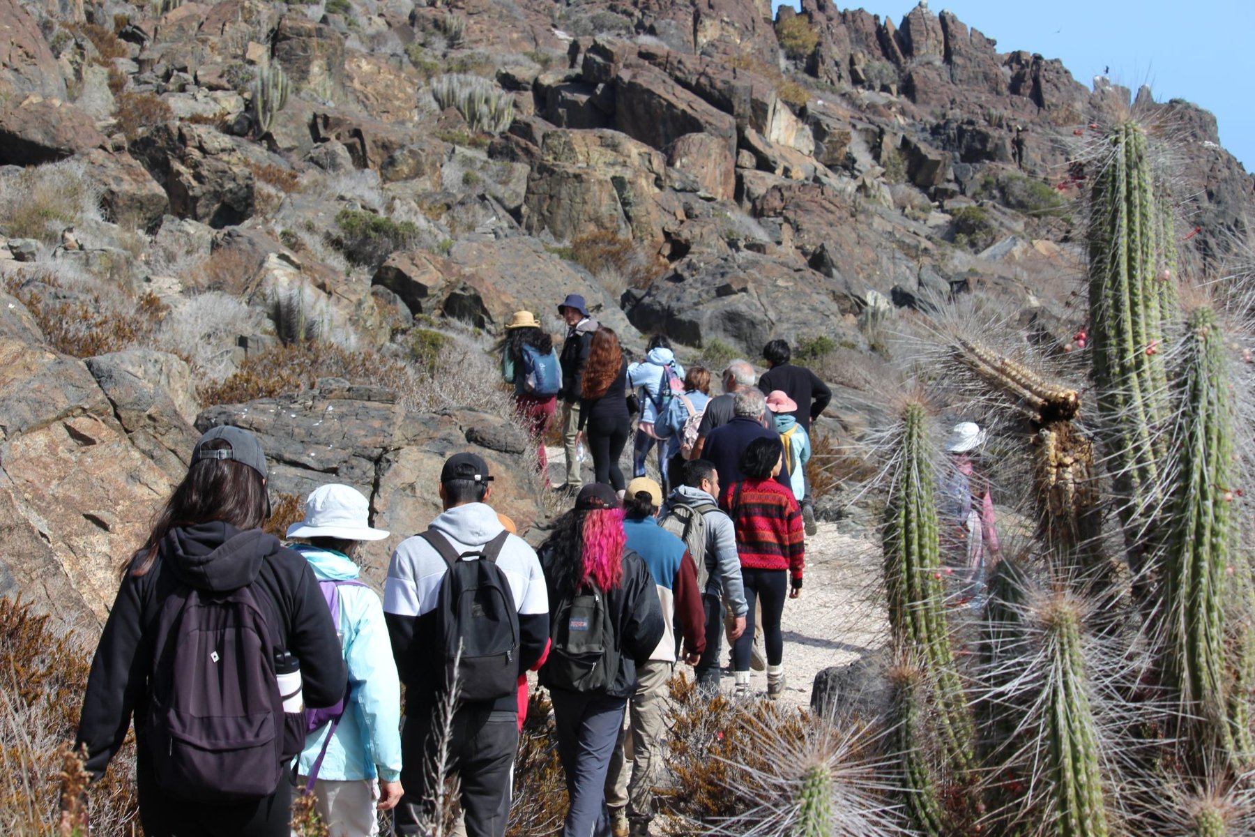Caminata guiada por el sendero de La Higuera