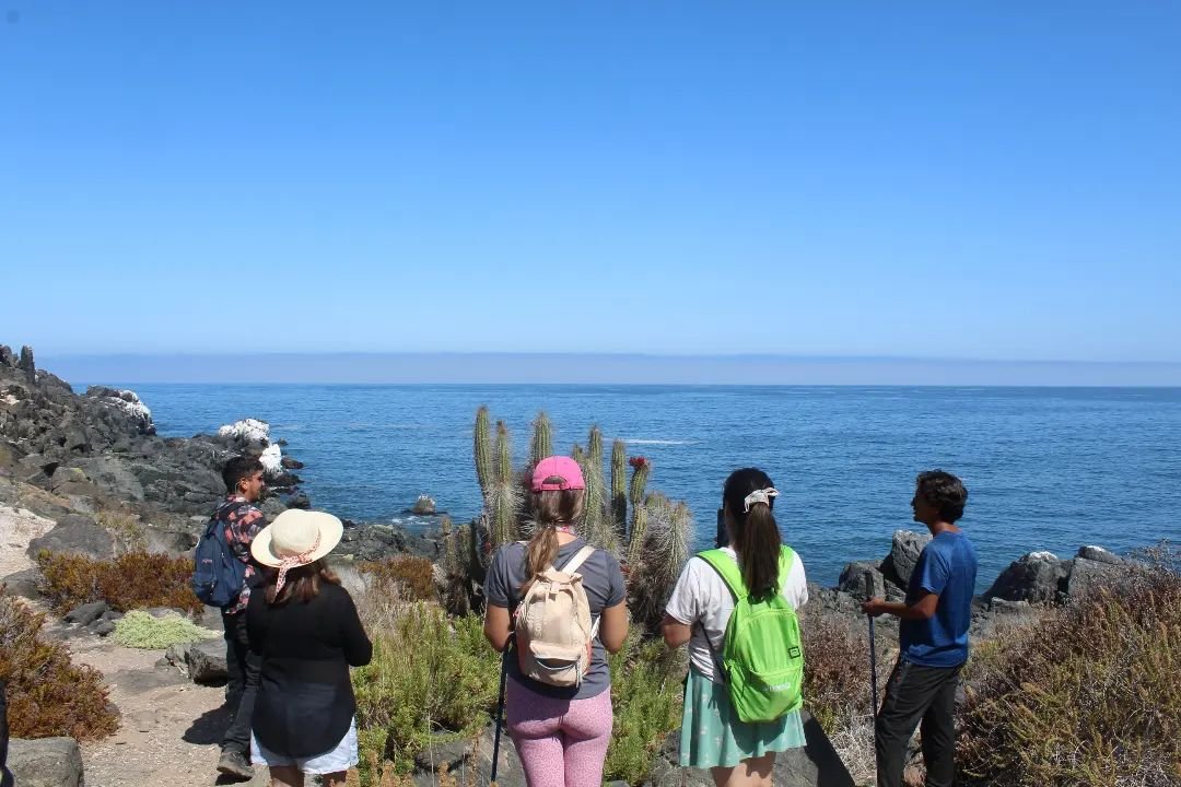 Visitantes y paisaje costero de Caleta Los Hornos